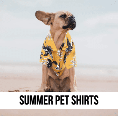 LEAD SUMMER PET DOG CAT SHIRT attire beach costume ideas photo shoot