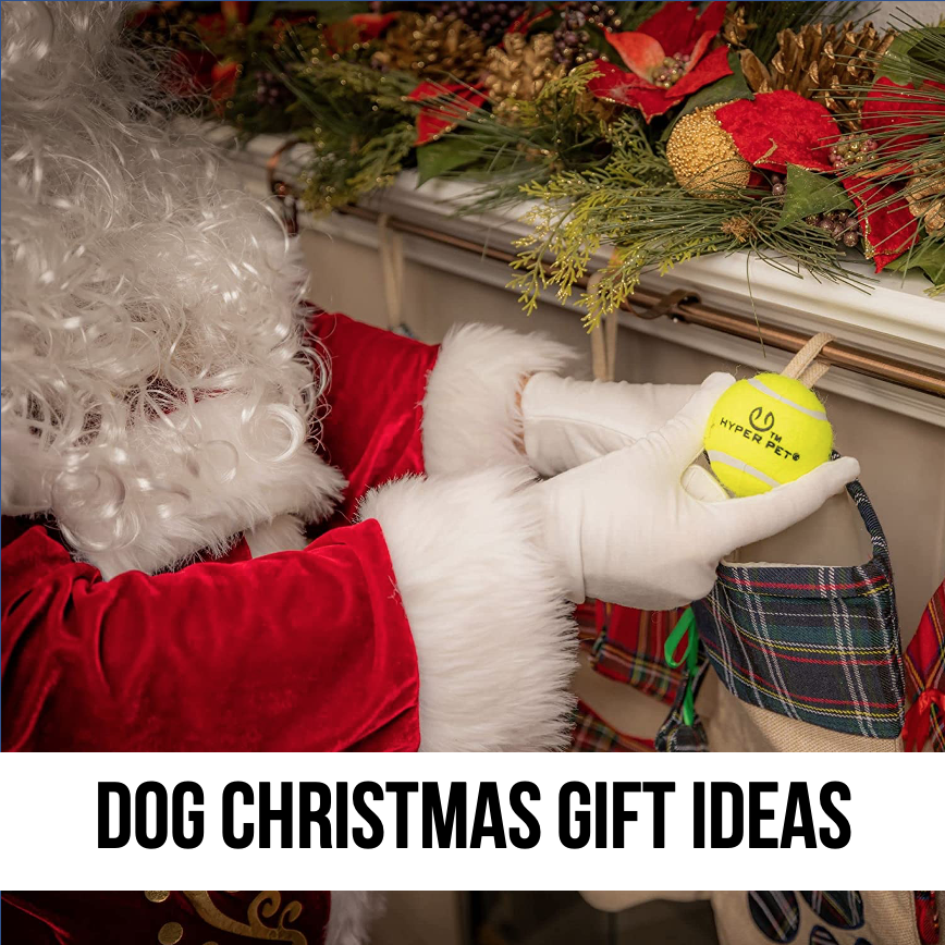 gift ideas for dog puppy coworker dog-lover