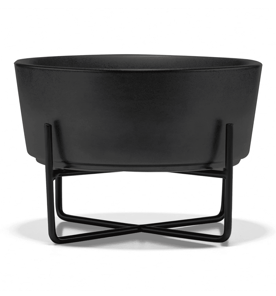 elevated black cat bowl