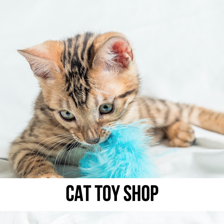 biggest largest best cat toy store shop online