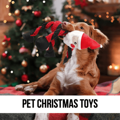 LEAD pet dog cat christmas theme toys stocking stuffer thank you give away