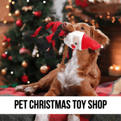 LEAD dog christmas toys play games shop