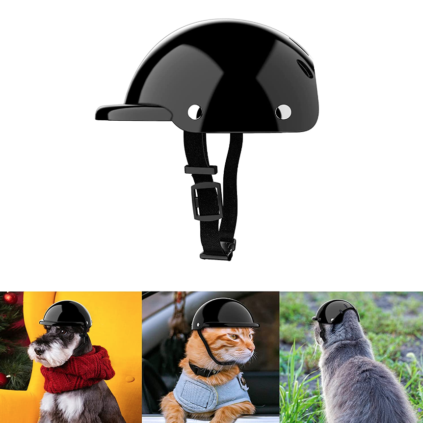 Small breed cat or dog helmet for your pet on a bicycle, motorcycle, scooter, or car with the top down