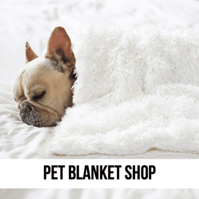 LEAD frenchie bulldog dog pet cat kitten blanket white holiday christmas