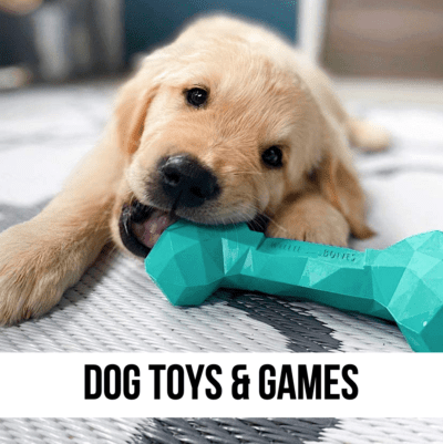 LEAD DOG puppy pet toys games balls bones chew rough