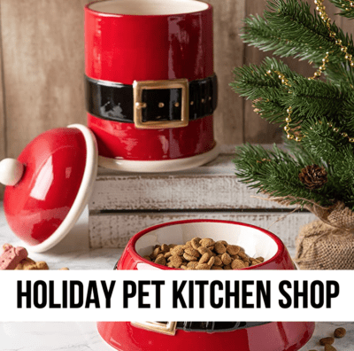 LEAD Christmas holiday pet kitchen shop santa decor gift pet lover treat containers