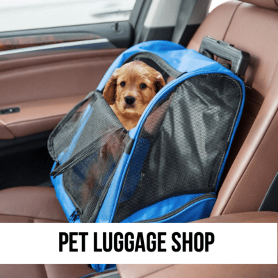 LEAD pet luggage shop suitcase backpacks slings travel outdoor rv