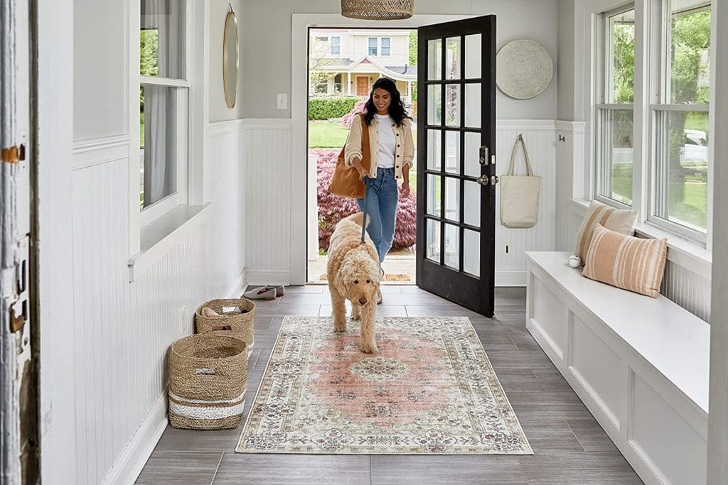 what are the best rugs for pet friendly home room work office spaces