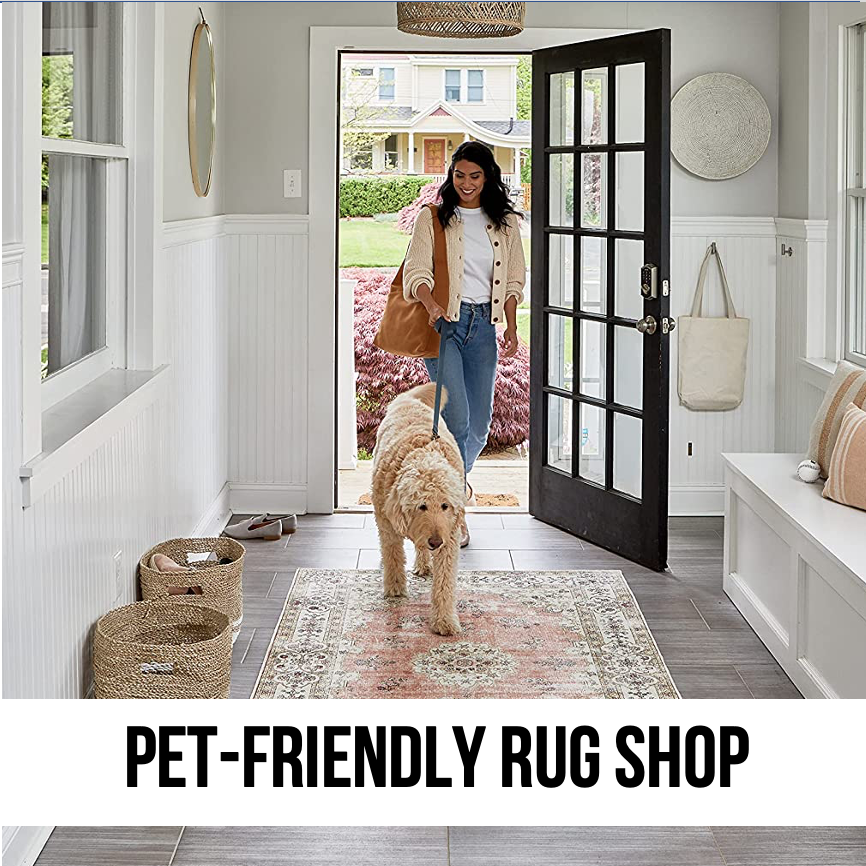 what are the best rugs for pet home dog cat designer unique trendy chic industrial