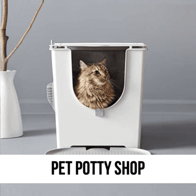 what is the best place to buy pet dog cat litter box potty supplies