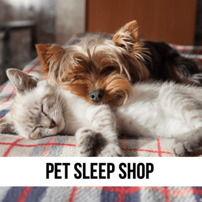 LEAD pet dog cat bed bedding cushion sleep furniture supplies