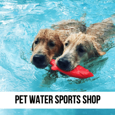 LEAD what are the best supplies for dogs pets water sports kayaks boat water lake river