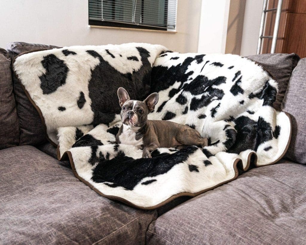 cow print dog blanket washable black white