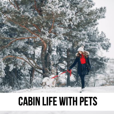Cabin Life With Pets