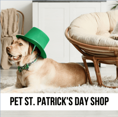 LEAD green beer st paddy pat's patrick's day dog supplies green clover lucky irish