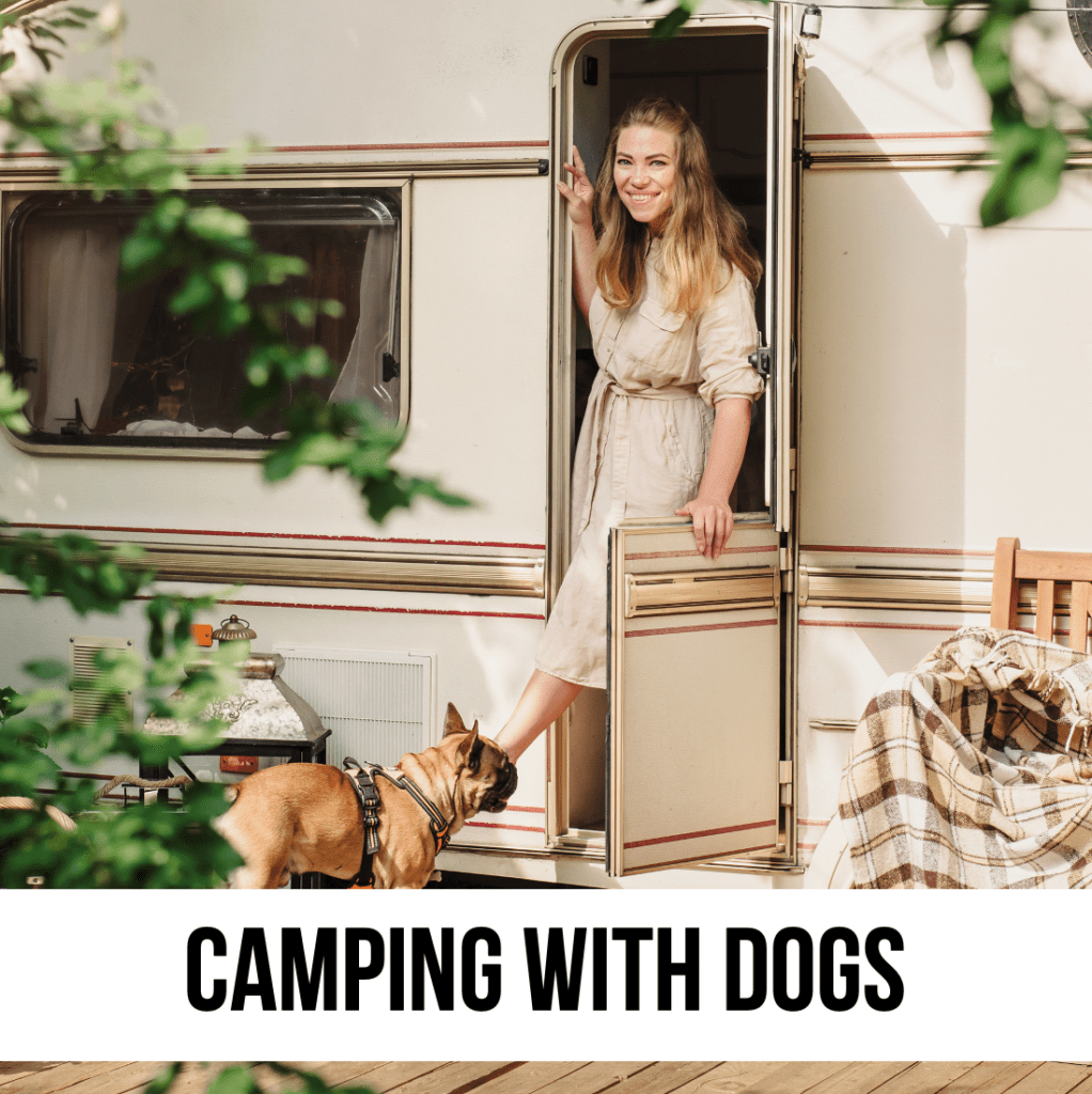 wild love tails dog's camping checklist list pet supplies outdoor hiking rv camper travel outdoor sports