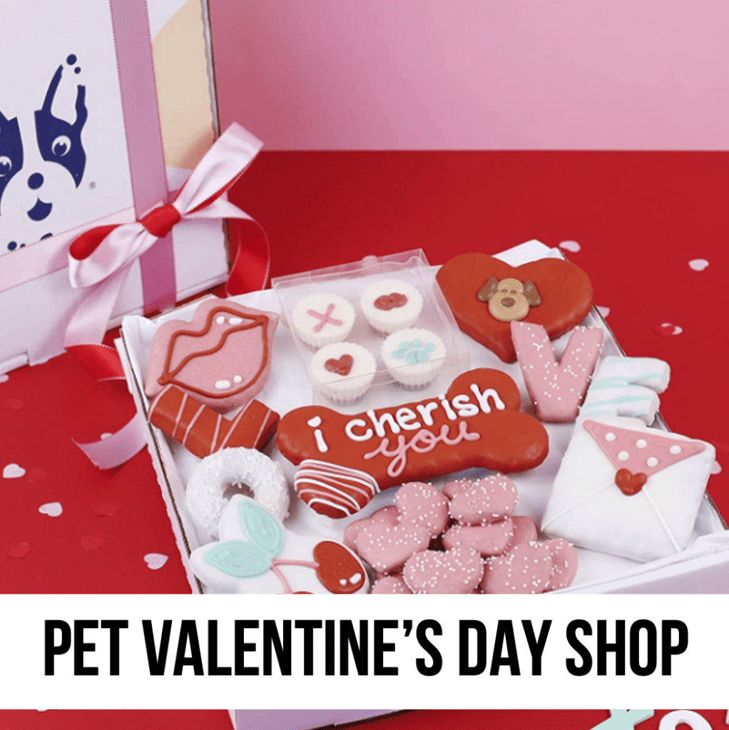 valentine's day gift dog cat pet animal red pink