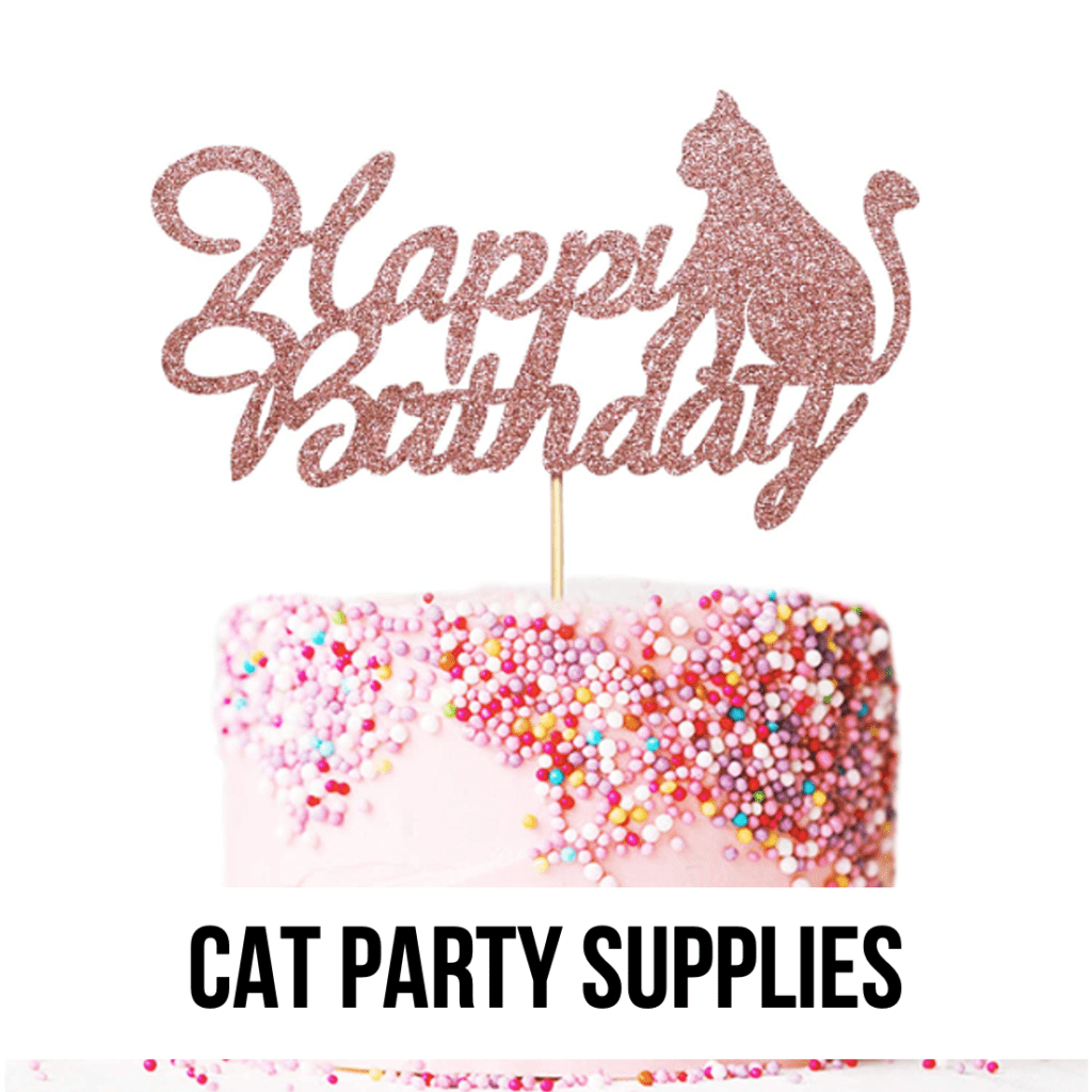 cat party supplies happy birthday pink cat kitten cake recipe party ideas