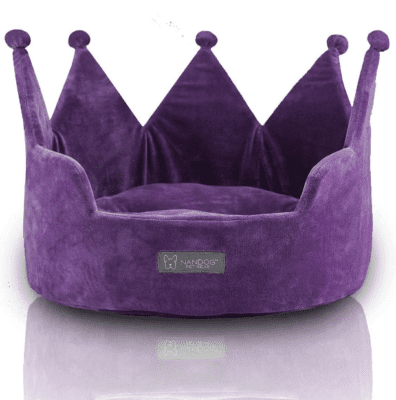 purple cat bed
