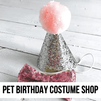 pet dog cat birthday barkday costume hat party shop