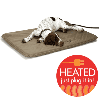 should i buy a headed dog bed for my aging pet