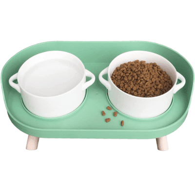 mint cat bowl set