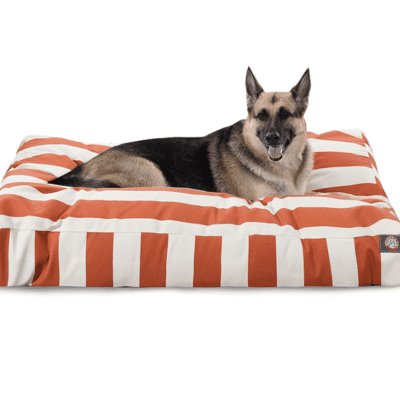 orange stripe dog bed
