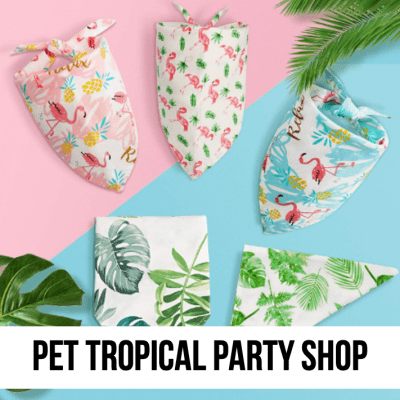 LEAD tropical pet party supplies dog cat bandana beach pool photo family