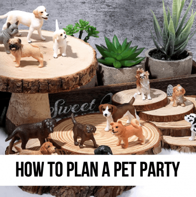 LEAD Pet party plan tips check list themes ideas decor kids children puppy kitten baby shower