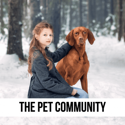 LEAD dog girl snow winter pet blog expert gifts ideas tips