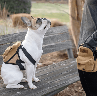 dog backpack saddlebag tote outdoor walking supplies gift 