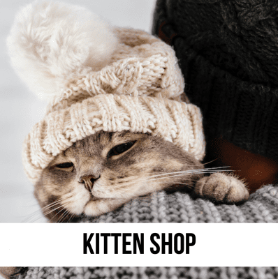 kitten shop store checklist supplies top best designer unique 