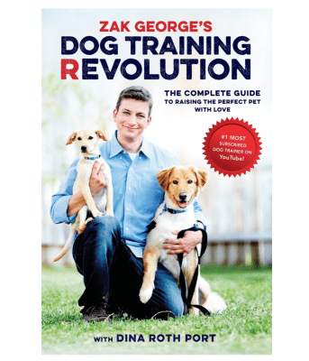 zak george dog training revolution