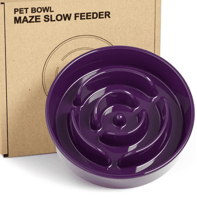 violet dog bowls