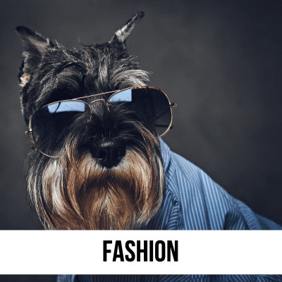 fashion dog cat pet accessories apparel gift lifestyle