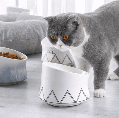 elevated cat bowl