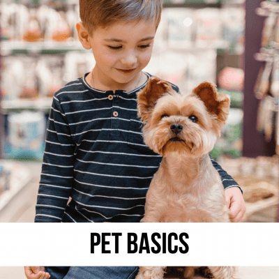 pet basics gear dog cat small animal collars leashes bowls bed 