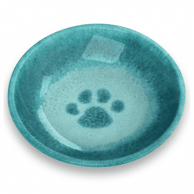 turquoise cat bowl