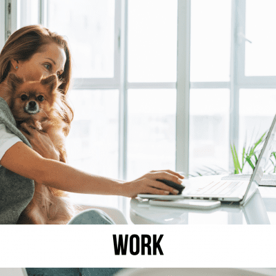 work office dog cat pet computer lady 