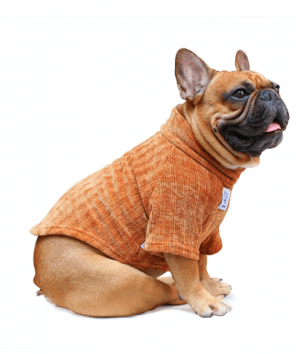 orange dog sweaters cat sweater apparel fashion gift bulldog