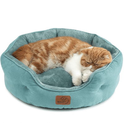 aqua cat bed