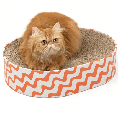 orange cat bed