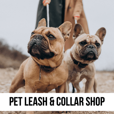 dog cat pet leash collar shop leashes collars