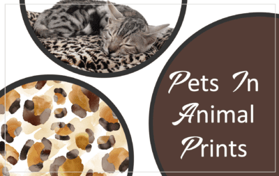 | Animal Print Pet Boutique – Sassy Pet Supplies!