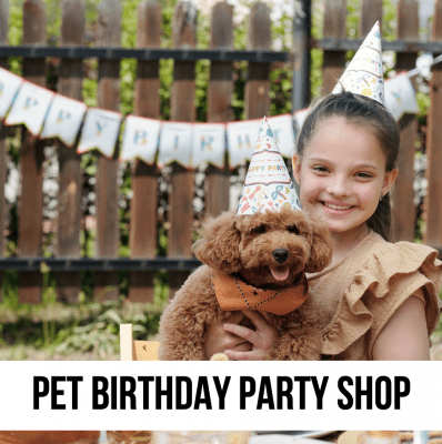 dog cat pet birthday party supplies hat gift banner toys treats celebration