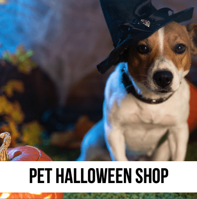 halloween dog cat pet decor toy play gift decorations