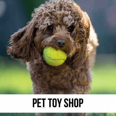dog pet toy ball tennis store shop lead