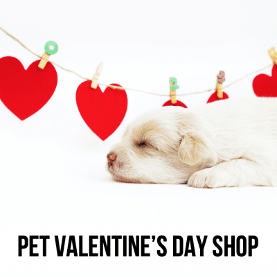 dog cat pet valentine days love holiday gift toys play decor apparel