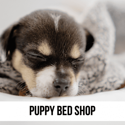 This image has an empty alt attribute; its file name is dog-puppy-bed-bedding-blanket-supplies-shop.png