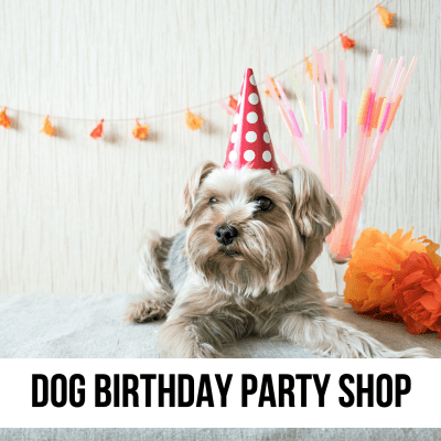 dog puppy birthday party shop store supplies